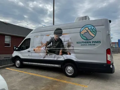 Vehicle Graphics Photo